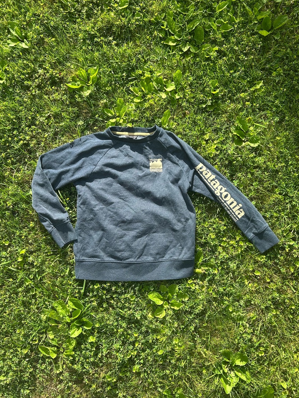 Patagonia women’s save our home planet crewneck